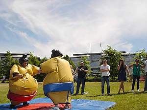 giant sumo