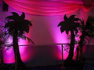 silhouette palms