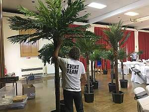 9ft palms
